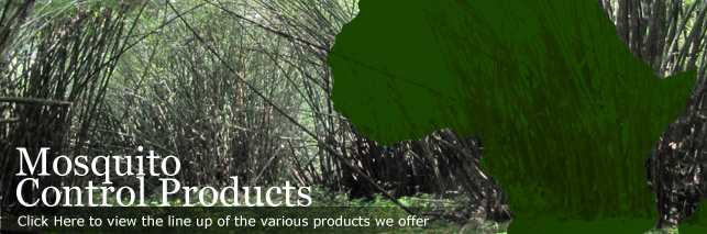 Main Page Image - Welcome